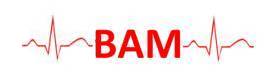 BAM Medical Billing, LLC